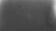 Archiv Foto Webcam Neureichenau 05:00