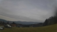 Archiv Foto Webcam Neureichenau 14:00
