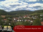 Archiv Foto Webcam Ringelai 13:00