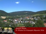 Archiv Foto Webcam Ringelai 11:00