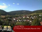 Archiv Foto Webcam Ringelai 15:00