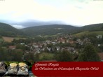 Archiv Foto Webcam Ringelai 09:00
