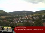 Archiv Foto Webcam Ringelai 11:00