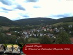 Archiv Foto Webcam Ringelai 09:00