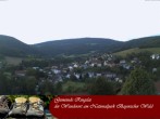 Archiv Foto Webcam Ringelai 19:00