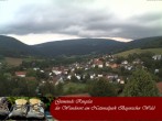 Archiv Foto Webcam Ringelai 11:00