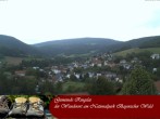 Archiv Foto Webcam Ringelai 13:00