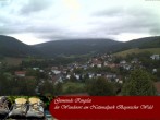 Archiv Foto Webcam Ringelai 19:00