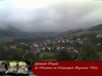 Archiv Foto Webcam Ringelai 05:00
