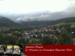 Archiv Foto Webcam Ringelai 09:00