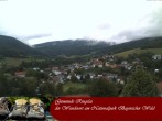 Archiv Foto Webcam Ringelai 11:00