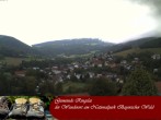 Archiv Foto Webcam Ringelai 13:00