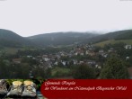 Archiv Foto Webcam Ringelai 15:00