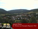 Archiv Foto Webcam Ringelai 17:00