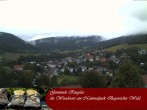 Archiv Foto Webcam Ringelai 19:00