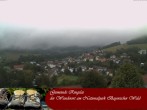 Archiv Foto Webcam Ringelai 05:00