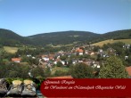 Archiv Foto Webcam Ringelai 11:00