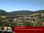 Archiv Foto Webcam Ringelai 13:00