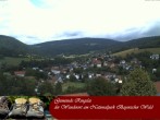 Archiv Foto Webcam Ringelai 11:00