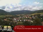 Archiv Foto Webcam Ringelai 11:00
