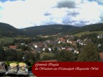 Archiv Foto Webcam Ringelai 13:00