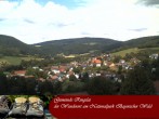Archiv Foto Webcam Ringelai 11:00