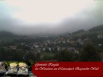 Archiv Foto Webcam Ringelai 05:00