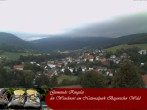 Archiv Foto Webcam Ringelai 09:00
