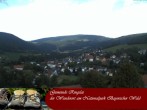 Archiv Foto Webcam Ringelai 11:00