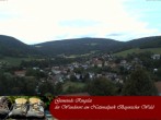 Archiv Foto Webcam Ringelai 11:00