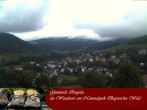 Archiv Foto Webcam Ringelai 19:00