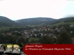 Archiv Foto Webcam Ringelai 11:00