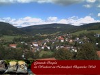 Archiv Foto Webcam Ringelai 11:00