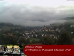 Archiv Foto Webcam Ringelai 05:00