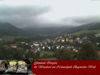 Archiv Foto Webcam Ringelai 09:00
