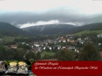 Archiv Foto Webcam Ringelai 11:00