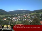 Archiv Foto Webcam Ringelai 11:00