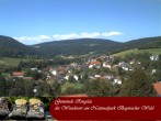 Archiv Foto Webcam Ringelai 13:00