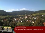 Archiv Foto Webcam Ringelai 15:00
