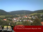 Archiv Foto Webcam Ringelai 11:00