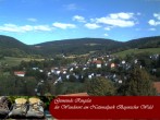 Archiv Foto Webcam Ringelai 09:00