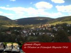 Archiv Foto Webcam Ringelai 11:00