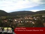 Archiv Foto Webcam Ringelai 10:00