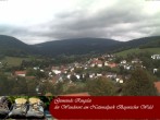 Archiv Foto Webcam Ringelai 09:00