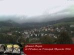 Archiv Foto Webcam Ringelai 09:00