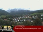 Archiv Foto Webcam Ringelai 11:00