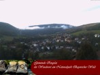 Archiv Foto Webcam Ringelai 17:00
