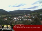 Archiv Foto Webcam Ringelai 10:00