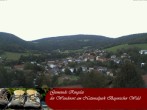 Archiv Foto Webcam Ringelai 13:00