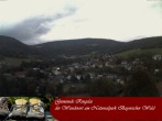 Archiv Foto Webcam Ringelai 05:00